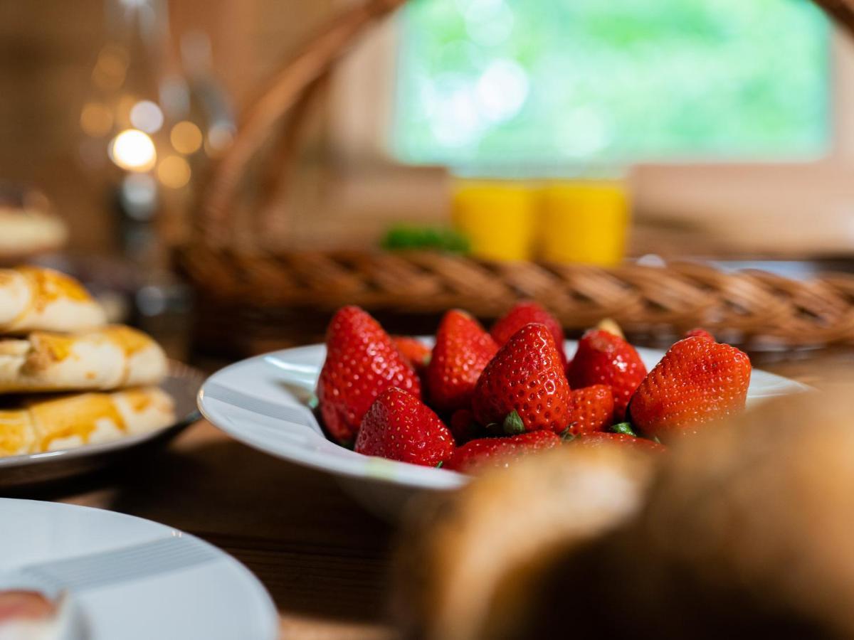 Treehous Sneznik S Wellness Hotel Dolni Morava Bagian luar foto