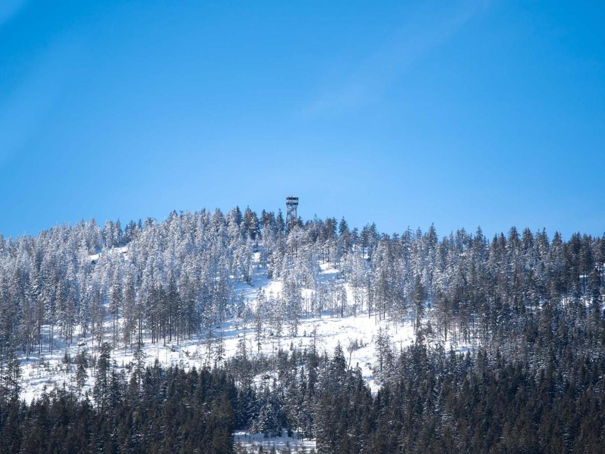 Treehous Sneznik S Wellness Hotel Dolni Morava Bagian luar foto